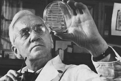 Alexander Fleming, el hombre que pasó a la historia, aunque no patentó la penicilina