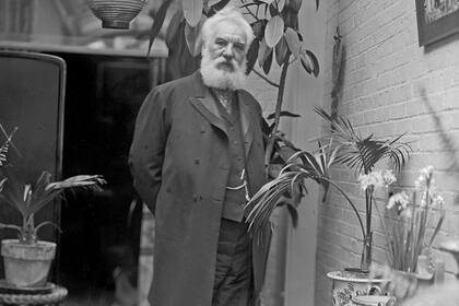 Alexander Graham Bell; Ln Juegos