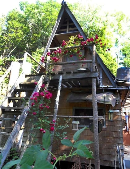 Alexander Karp decidió obsequiarle a Lidstone los 180.000 dólares que necesitaba para reconstruir su cabaña en otro lugar del bosque