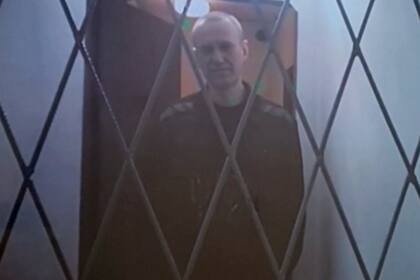 Alexei Navalny líder opositor al régimen de Vladimir Putin