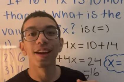 Alexis es el nombre del joven que llaman "Profe de Tik Tok" y ya recolectó 660.000 seguidores que toman sus clases online