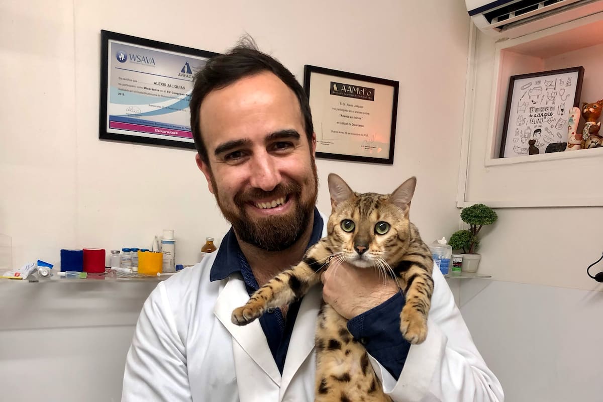 Alexis Jaliquias creó y dirige el primer banco de sangre felino
