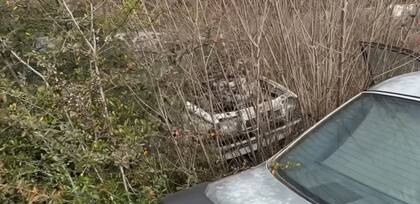 Alfa Romeo 75