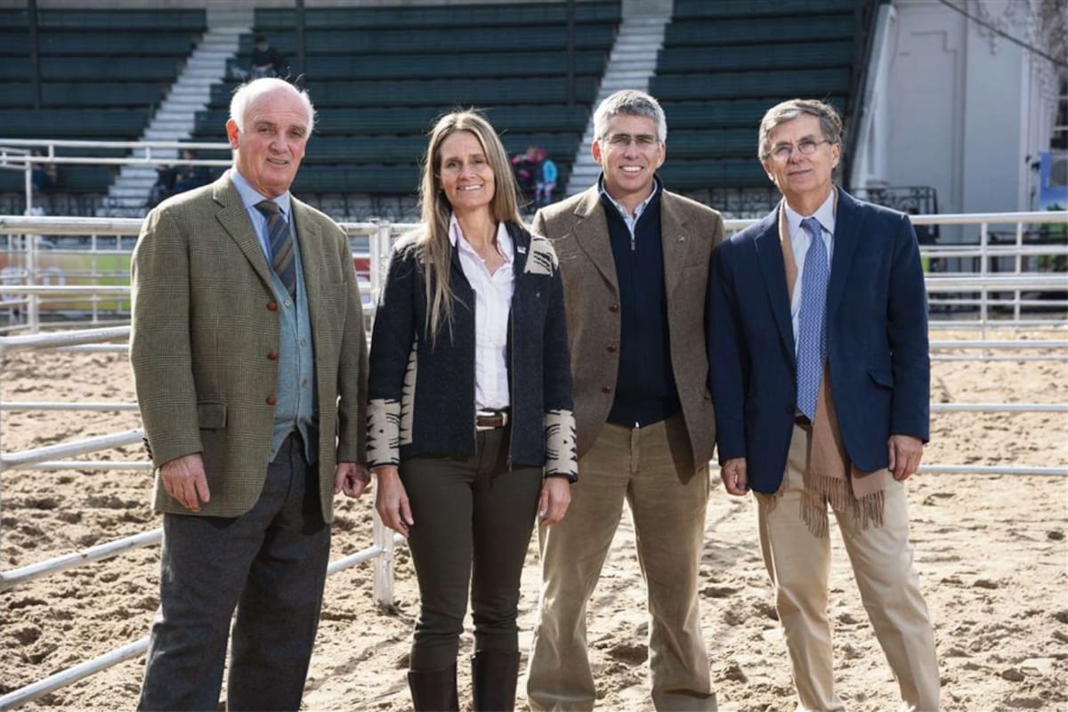 Alfonso Bustillo (Angus), Tiziana Prada (Braford) Alejandro de La Tour (Hereford) y Martín García Fernández (Brangus)