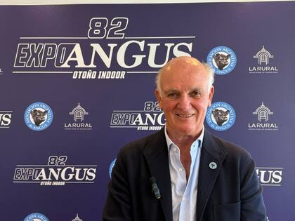 Alfonso Bustillo, presidente de Angus