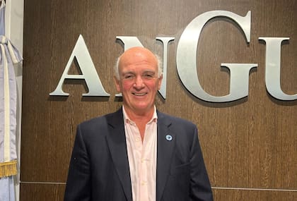Alfonso Bustillo, presidente de Angus