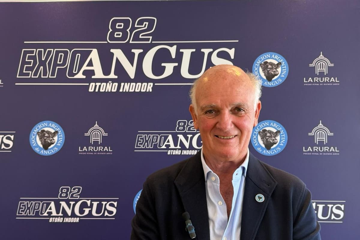 Alfonso Bustillo, presidente de la Asociación Argentina de Angus