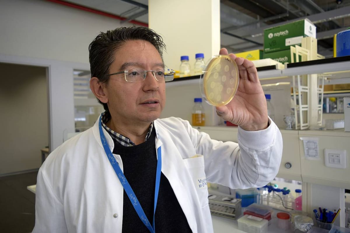 Alfonso Jaramillo, en el laboratorio del I2SYSBIO con las bacterias que utiliza en su proyecto