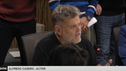 Alfredo Casero este jueves en la Cámara de Diputados