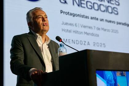 Alfredo Cornejo, gobernador de Mendoza: "El motor de la economía es la inversión”