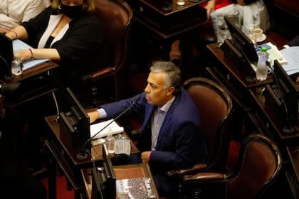 Alfredo Cornejo, jefe del interbloque de senadores de Juntos por el Cambio