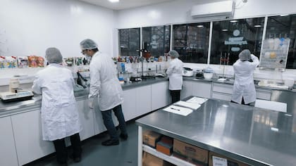 Algabo cerró el periodo fiscal 24/25 con un crecimiento del 10% en volumen y proyecta repetir esa cifra para 2026