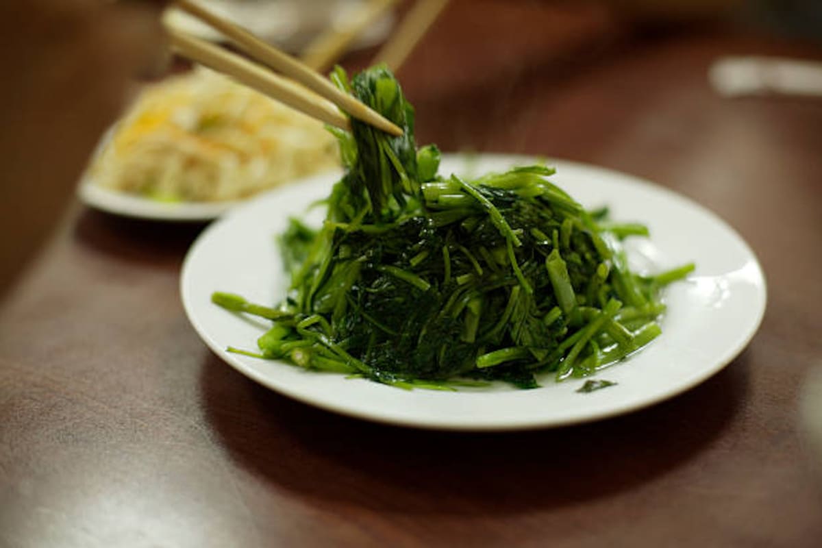 Algas marinas (Foto: iStock)