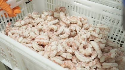Algo similar podría ocurrir en los próximos meses con el langostino