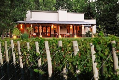 Algodón Wine Estates, un complejo para disfrutar de lo mejor del vino