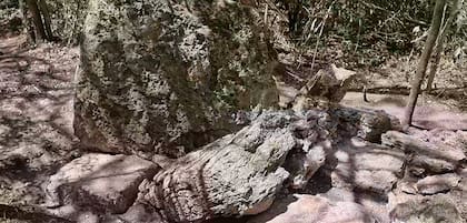Algunas construcciones en roca siguen intactas, como murallas y altares