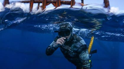 Algunas de las actividades incluyen el buceo