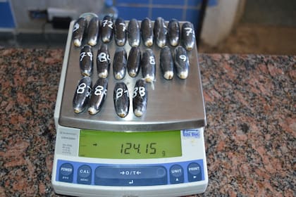 Algunas de las cápsulas de cocaína