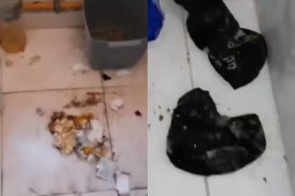 Algunas de las escenas que se encontró la dueña del departamento cuando entró a chequear el estado en el que se encontraba