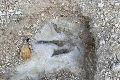 Algunas de las huellas de dinosaurios encontradas en el parque estatal Dinosaur Valley