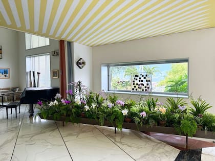 Algunas de las miles de orquídeas de Villa Panchart