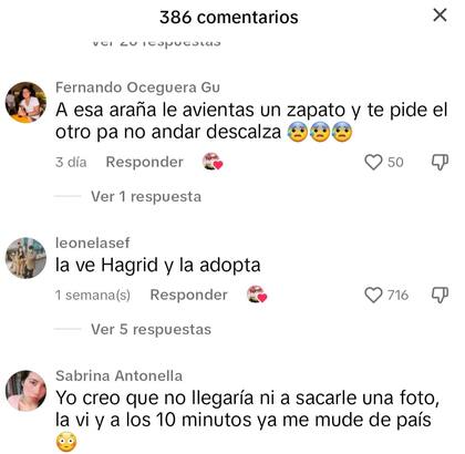 Algunas de las reacciones de los usuarios en TikTok