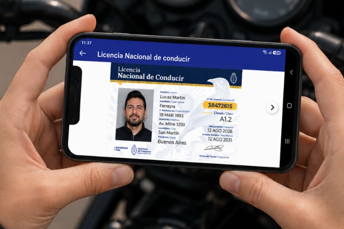 Algunas infracciones de tránsito que implican la retención de la licencia de conducir por parte de las autoridades de control