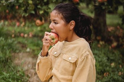 Algunas investigaciones destacaron la conexión entre el consumo de manzanas y un menor riesgo de diabetes tipo 2
