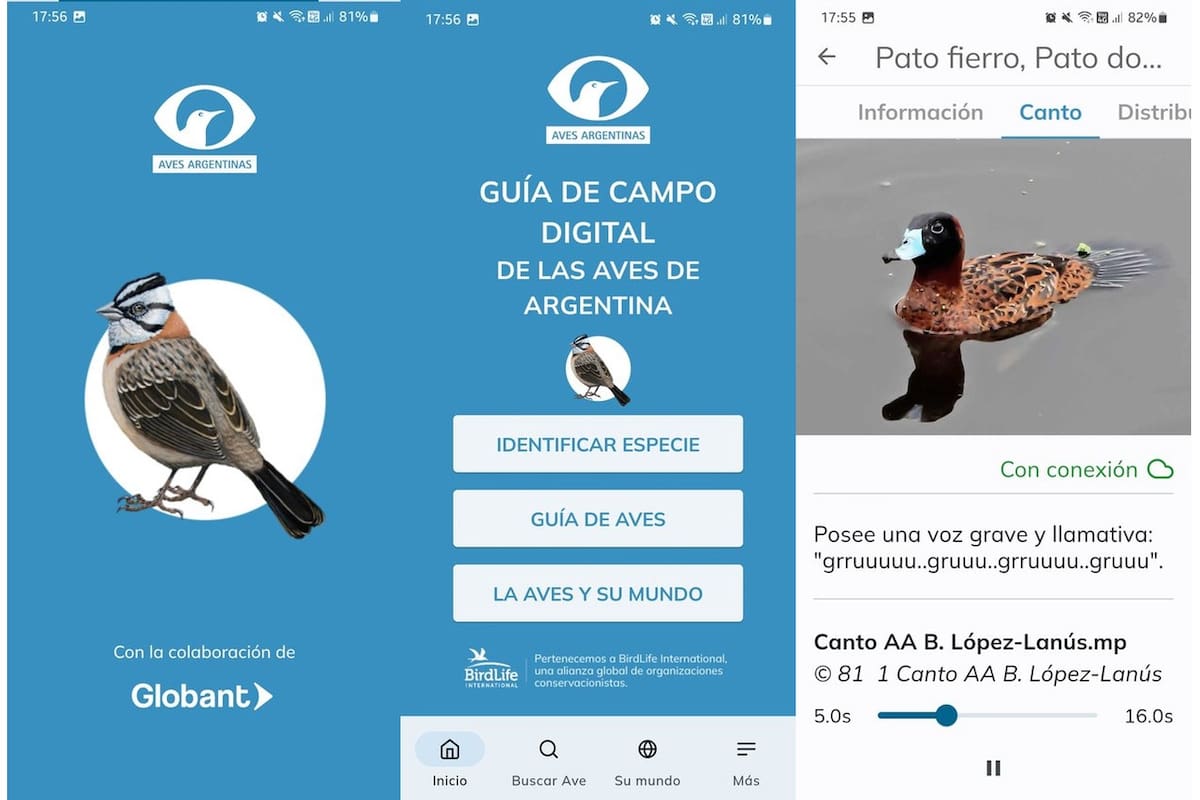 Algunas pantallas de Aves Argentinas, la gran guía de campo en formato app
