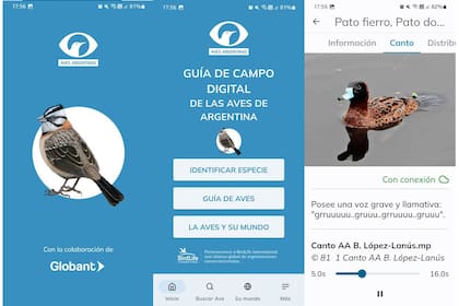 Algunas pantallas de Aves Argentinas, la gran guía de campo en formato app
