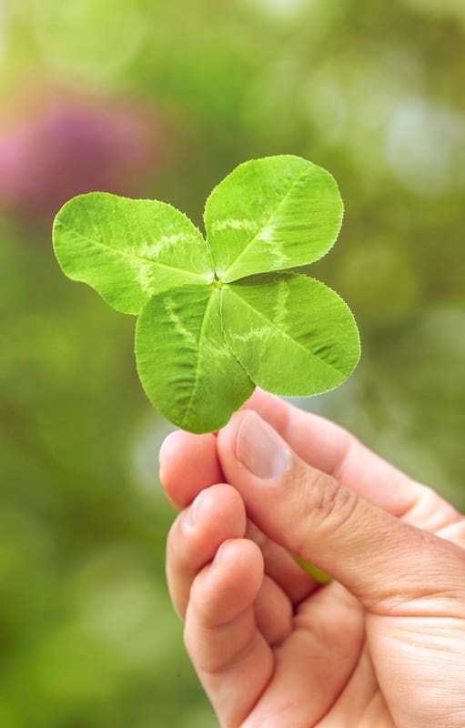 Algunas plantas fueron elegidas para representar aquello que resulta difícil controlar: la salud, el amor, la prosperidad, la protección o la buena suerte