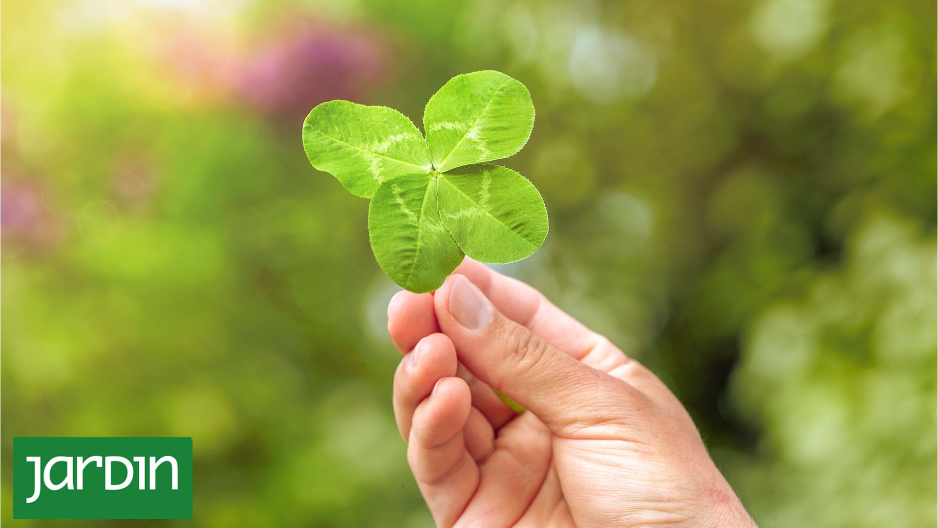 Algunas plantas fueron elegidas para representar aquello que resulta difícil controlar: la salud, el amor, la prosperidad, la protección o la buena suerte