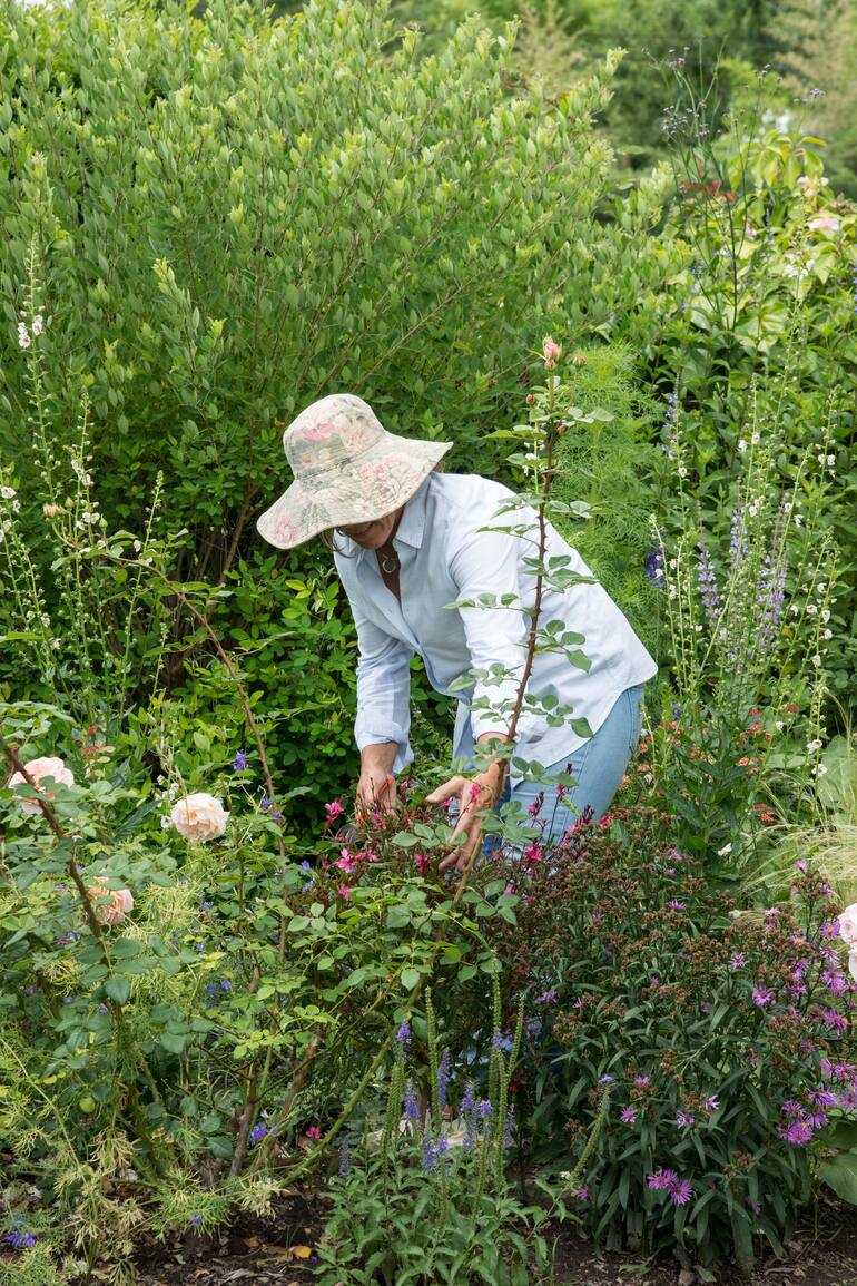 Algunas prácticas para resguardar las plantas del calor, nos ayudarán a asegurar un otoño florido