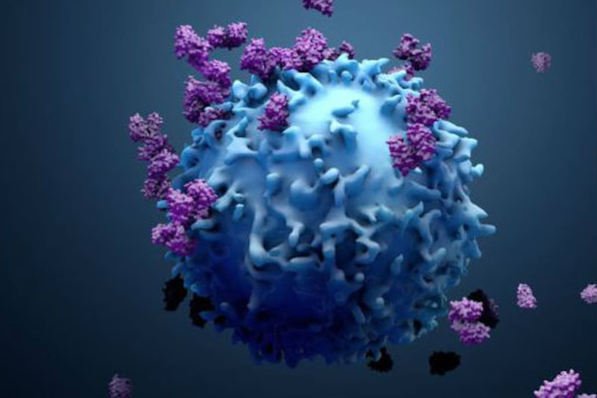 Algunas proteínas dejan a los tumores sin nutrientes clave para crecer