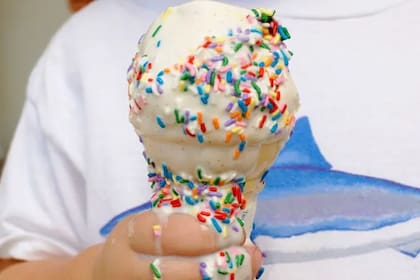 Algunos años atrás, se viralizó un helado japonés que resistía al calor sin derretirse