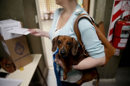 Algunos ciudadanos entraron al cuarto oscuro con sus mascotas