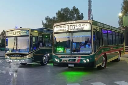 Algunos de los buses que se presentarán en la Expo 307