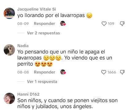 Algunos de los comentarios por parte de los usuarios en TikTok