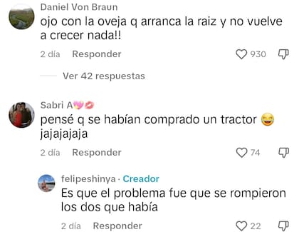 Algunos de los comentarios que los usuarios hicieron en la publicación viral
