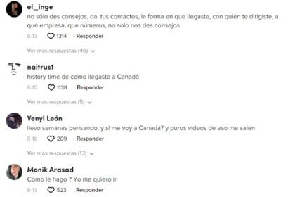 Algunos de los comentarios que los usuarios hicieron en TikTok