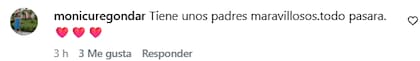 Algunos de los comentarios que recibió (Foto: Captura Instagram/@luisventurasoy)