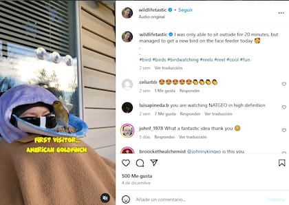 Algunos de los comentarios que recibió la residente de Columbia Británica por el comedero que creó