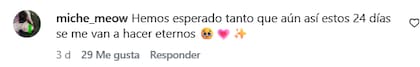 Algunos de los comentarios que se viralizaron tras la noticia (Foto: Captura Instagram/@disneyplusla)
