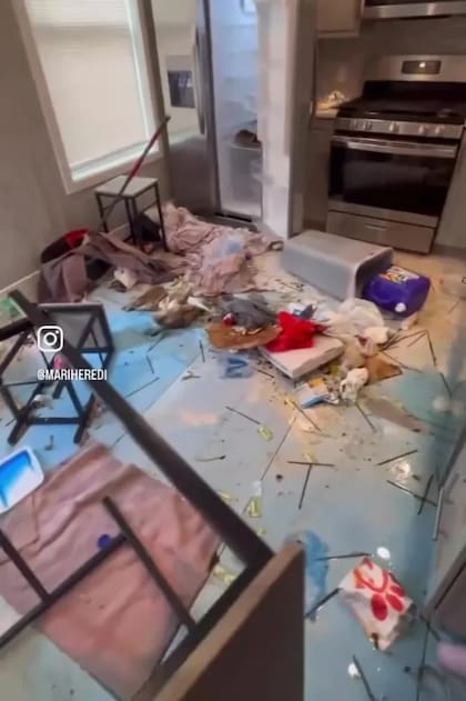 Algunos de los destrozos que le dejaron en la propiedad