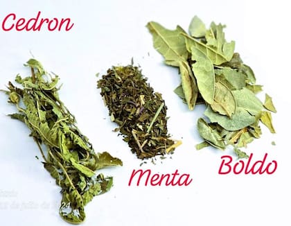 Algunos de los elementos más utilizados para saborizar el mate son la menta, el boldo o el cedrón
