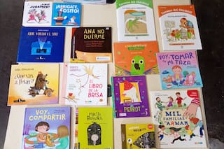 Una gran movida solidaria para reconstruir las bibliotecas de Bahía Blanca