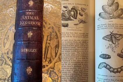 Algunos de los libros que encontraron en el lugar