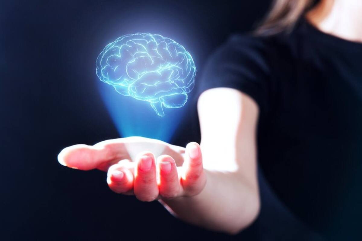 Algunos de los mayores logros de nuestra especie se basaron principalmente en cualidades como la creatividad