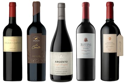 Algunos de los mejores Cabernet Franc mendocinos