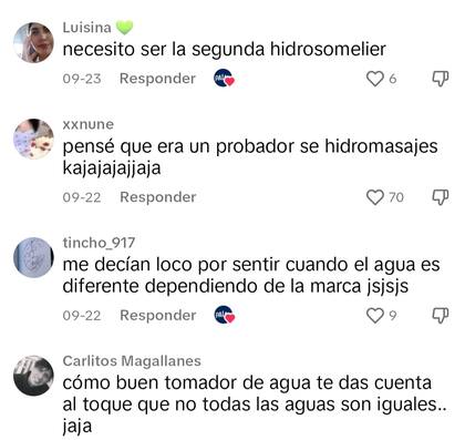 Algunos de los mensajes por parte de los usuarios en TikTok